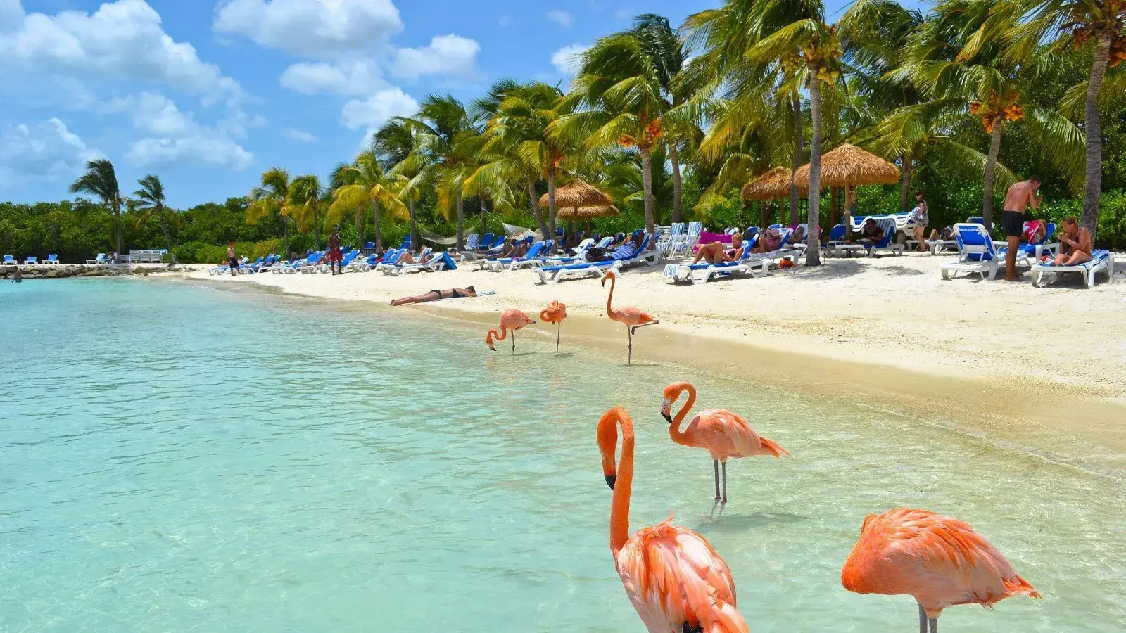 MUNDO RUTASL, turismo, pasadias, transporte en ibagué, colombia