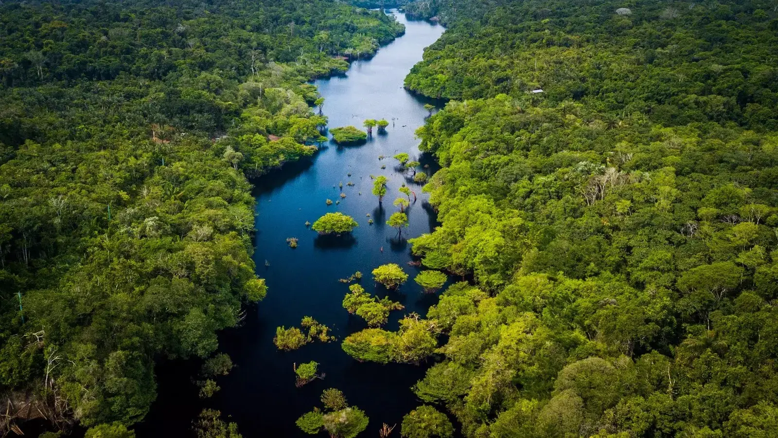 MUNDO RUTASL, turismo, pasadias, transporte en ibagué, colombia