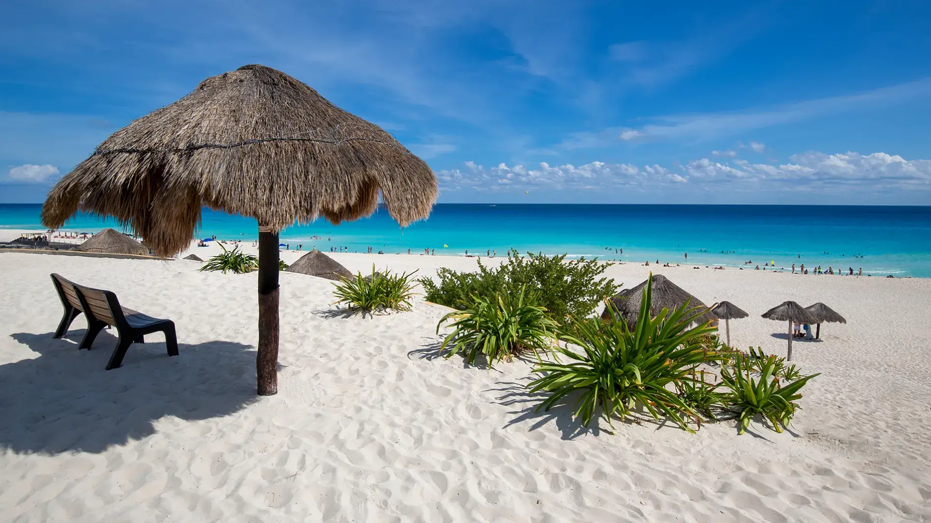 MUNDO RUTASL, turismo, pasadias, transporte en ibagué, colombia