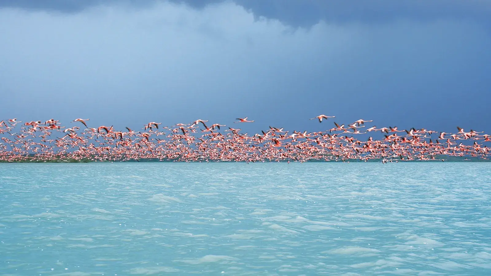 tolostuor, turismo, pasadias, transporte en ibagué, colombia