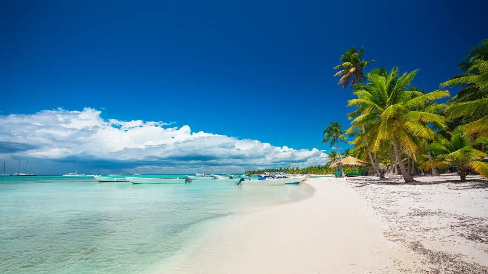 tolostuor, turismo, pasadias, transporte en ibagué, colombia